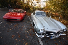 4-300SL Flügentürer