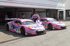 Die-Pink-Panthers_0866