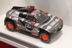 Audi-e-tron-fuer-die-Wueste-von-Spark
