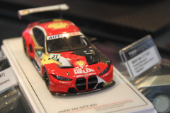 Sheldon-van-der-Lindes-DTM-BMW-31