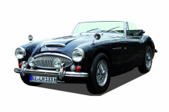 1.-Preis_Austin-Healey-3000