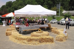 # 14_Racing Flair der 1950er Jahre