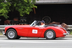 # 16_Horst Gerwig in seinem Austin Healey