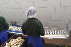 Foto_06